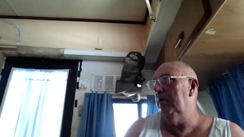 wazahardon2 online show from 20, 9, 2025