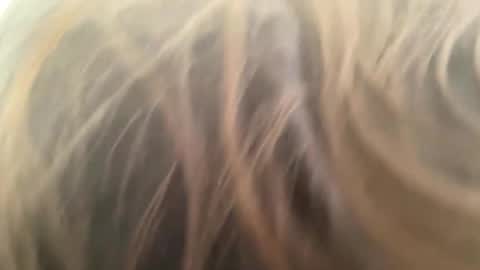 Snapshot of weedwacker43 chatting on 1, 3, 2026 weedwacker43 online show from 1, 3, 2026