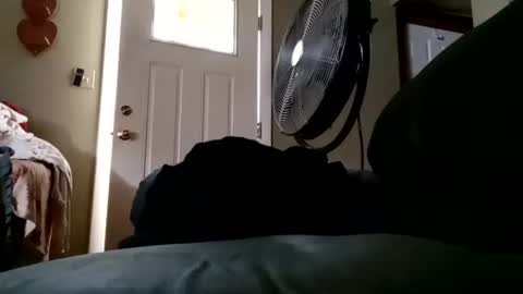 welldny online show from 21, 9, 2025