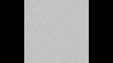 Wendy online show from 10, 1, 2026