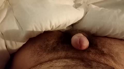 Werty online show from 12, 12, 2024