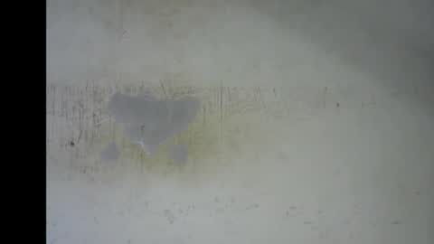 Snapshot of wet_pussy200 chatting on 12, 1, 2026 Bella online show from 12, 1, 2026