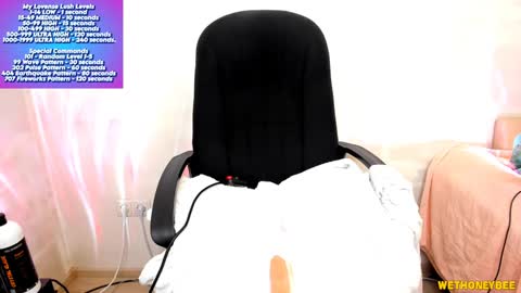 Snapshot of wethoneybee chatting on 3, 2, 2025 Mina online show from 3, 2, 2025