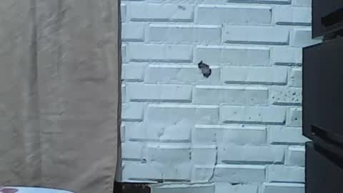 wettyhottie69 online show from 3, 2, 2026