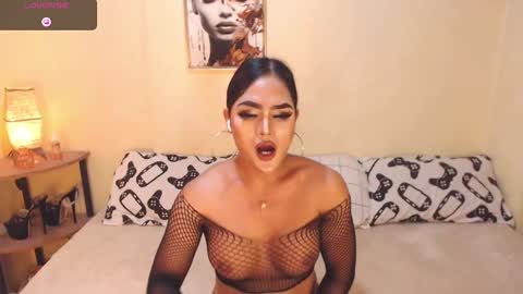 sam sugar online show from 21, 12, 2024