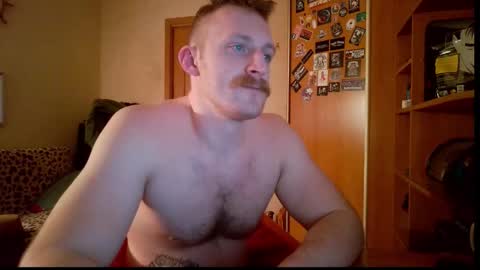 WhiteBull online show from 8, 2, 2026