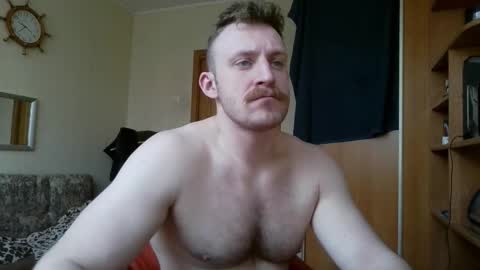 WhiteBull online show from 12, 3, 2026