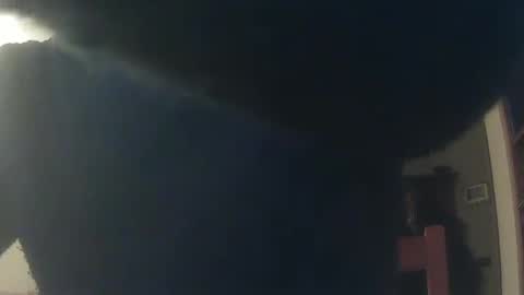 Whiteduke online show from 4, 12, 2024