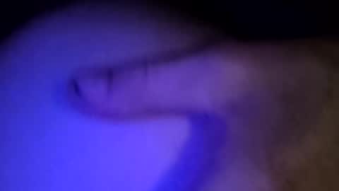 whodunnitwrangler online show from 8, 2, 2026