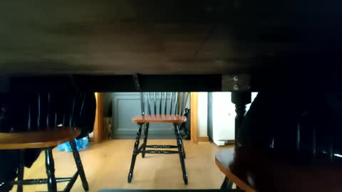 Snapshot of whoneedsaowner chatting on 9, 1, 2025 whoneedsaowner online show from 9, 1, 2025