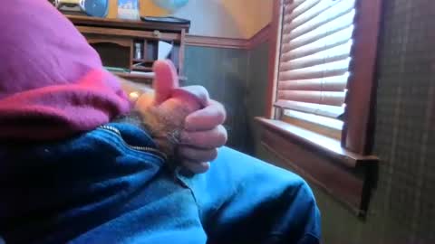 whydog online show from 1, 3, 2025