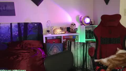 Gretchen  Jimmy online show from 21, 7, 2026
