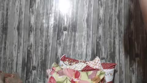 Snapshot of wild_ass_zessa chatting on 27, 11, 2025 wild_ass_zessa online show from 27, 11, 2025