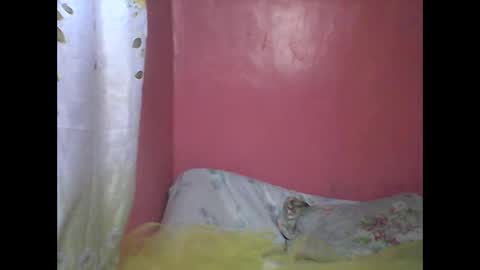 Snapshot of wild_sunflower11 chatting on 25, 12, 2024 wild_sunflower11 online show from 25, 12, 2024