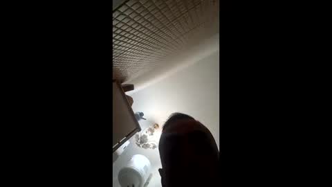 Snapshot of wilddope chatting on 8, 3, 2026 the alpha man online show from 8, 3, 2026