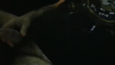 WildeAlex online show from 28, 9, 2025