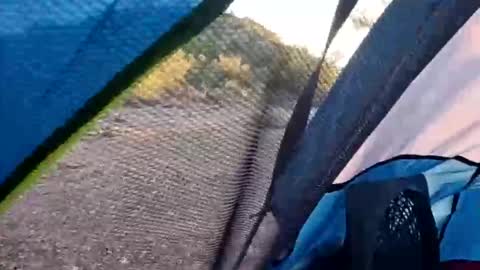 wildernessgoddess online show from 14, 11, 2025