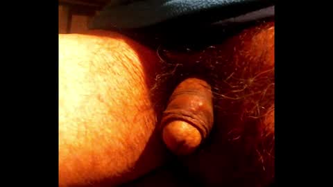 willstrok online show from 22, 1, 2025