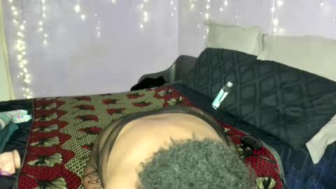 wilmaassylum online show from 4, 8, 2026