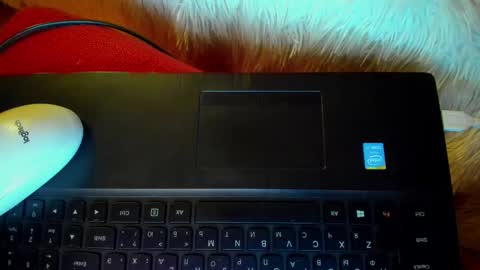 Snapshot of winter_miracle chatting on 20, 1, 2025 Winter Miracle online show from 20, 1, 2025