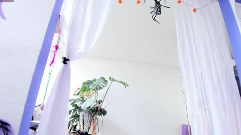     Luna Violeta  A r t i s t  online show from 28, 10, 2025