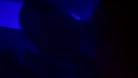 Snapshot of wolf41xxx chatting on 15, 12, 2024 WolfX online show from 15, 12, 2024