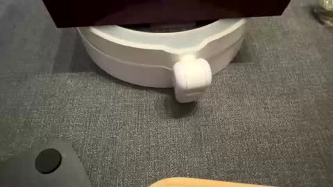 Snapshot of wolf41xxx chatting on 17, 9, 2025 WolfX online show from 17, 9, 2025