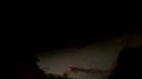 Snapshot of wolf41xxx chatting on 14, 11, 2025 WolfX online show from 14, 11, 2025