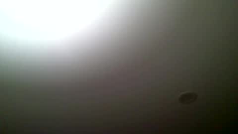 woodeee77 online show from 2, 7, 2026