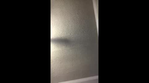 Snapshot of woodpipe69 chatting on 23, 12, 2024 Woodpipe69 online show from 23, 12, 2024