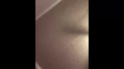 Snapshot of woodpipe69 chatting on 3, 10, 2025 Woodpipe69 online show from 3, 10, 2025