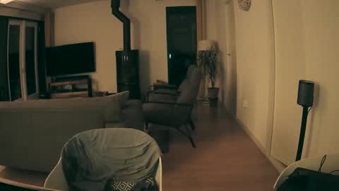 woodwurm and Snoeske online show from 28, 2, 2026