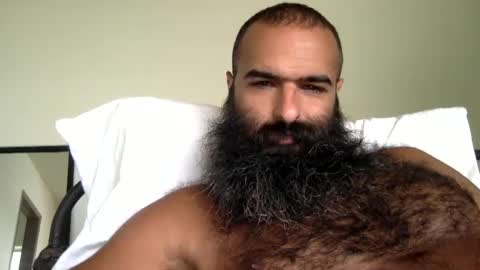 woof_wolf37 online show from 13, 9, 2025