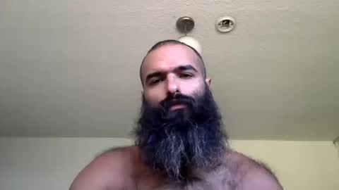 woof_wolf37 online show from 16, 10, 2025