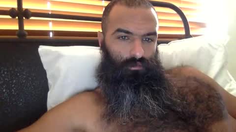 woof_wolf37 online show from 17, 10, 2025