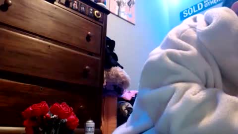 woofwolfxix online show from 29, 10, 2025