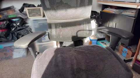 Snapshot of workplace_proximity_associate chatting on 26, 1, 2025 workplace_proximity_associate online show from 26, 1, 2025