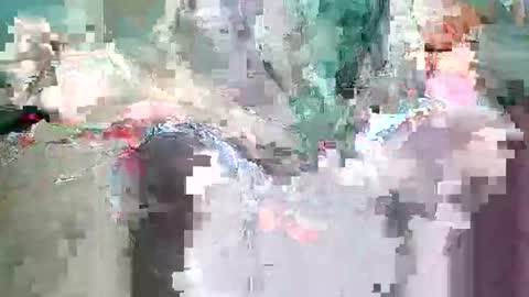 wowizow69 online show from 4, 5, 2026