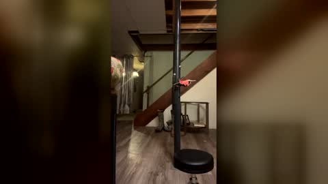 Snapshot of wyattmcc32288 chatting on 2, 3, 2026 wyattmcc32288 online show from 2, 3, 2026