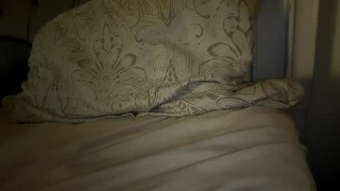 Snapshot of x_dreamgirl_x chatting on 29, 11, 2025 Mariah online show from 29, 11, 2025