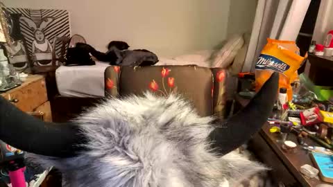 Snapshot of xander0zzz chatting on 13, 3, 2026 xander0zzz online show from 13, 3, 2026