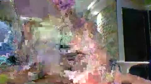 Snapshot of xavii31 chatting on 11, 3, 2026 xavii31 online show from 11, 3, 2026