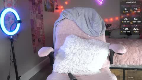 spoil me here  online show from 4, 3, 2026