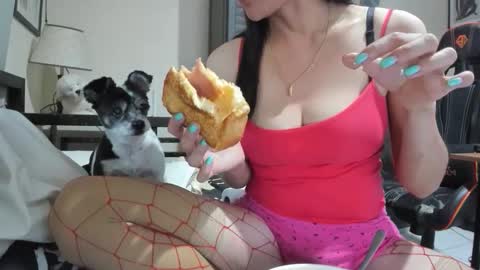 xdreamangel online show from 20, 12, 2024