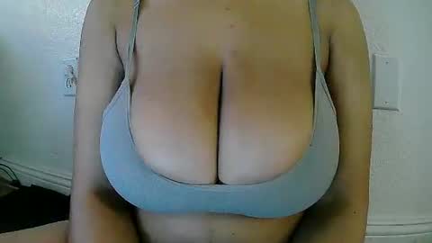 XiaoXiao  online show from 13, 1, 2026