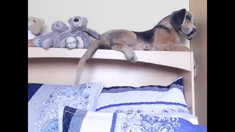 Snapshot of xindianillusion44 chatting on 6, 2, 2026 Miss Ria online show from 6, 2, 2026