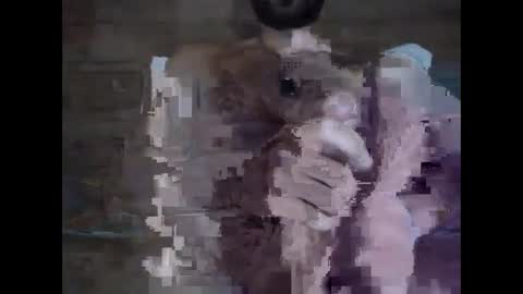 xlnickthedick online show from 19, 12, 2024