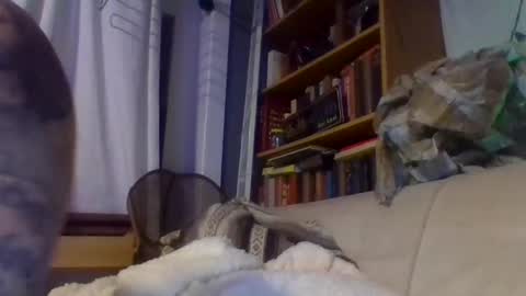 John online show from 17, 12, 2024