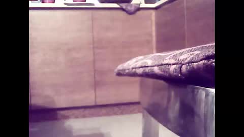 Snapshot of xsoul72 chatting on 26, 2, 2025 xsoul72 online show from 26, 2, 2025