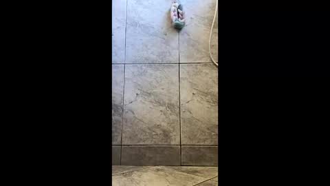 Snapshot of xviktorbr chatting on 26, 3, 2026 xviktorbr online show from 26, 3, 2026